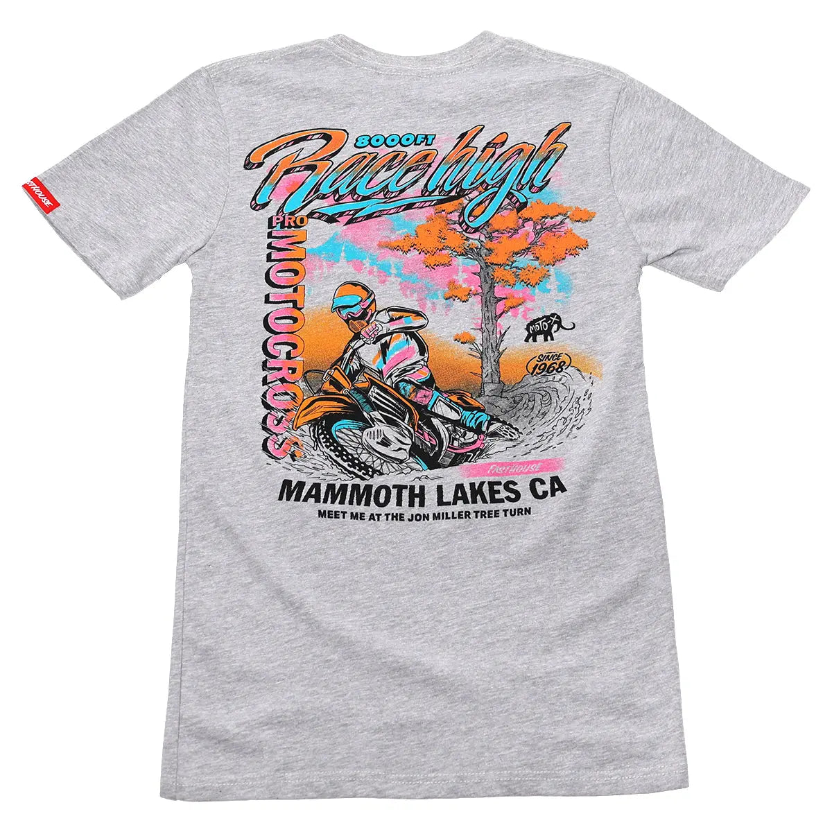 Mammoth Race High Tree Turn Tee 2023 - Heather Gray - Fasthouse