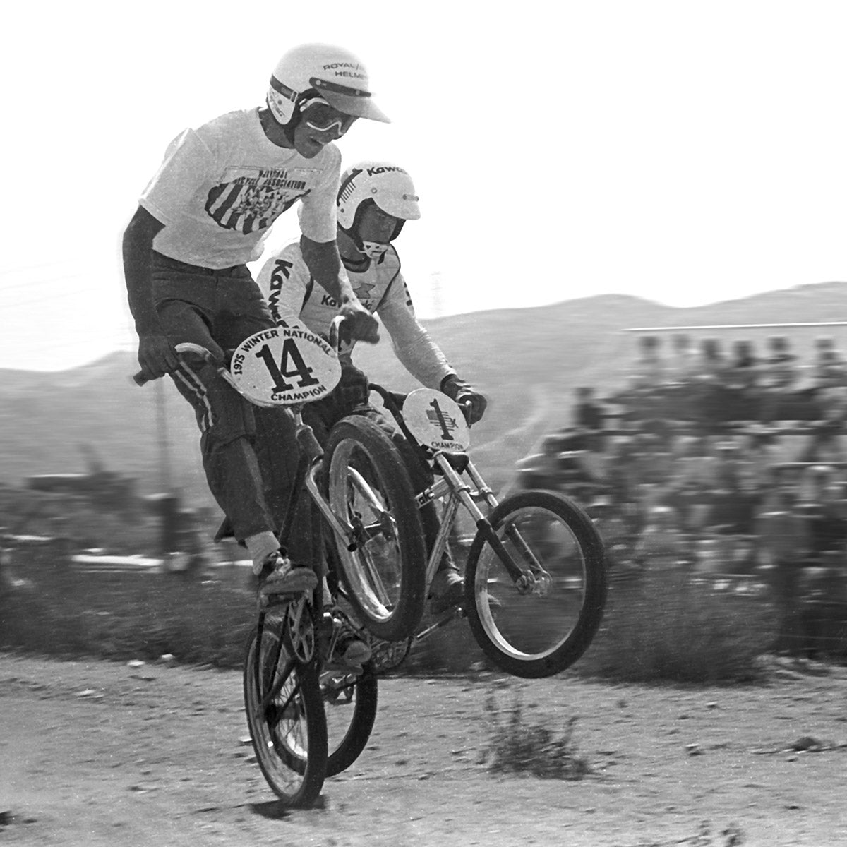 National Bicycle Association Pennant Flag