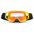 VonZipper Porkchop Mayhem Goggle - Gold